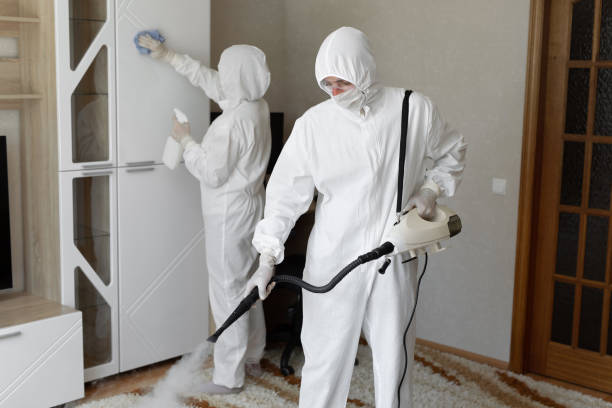 Home Mold Removal in Rosenhayn, NJ